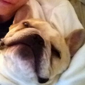 Meet your Posher, Allyson